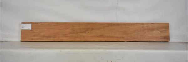 GONC1137_2