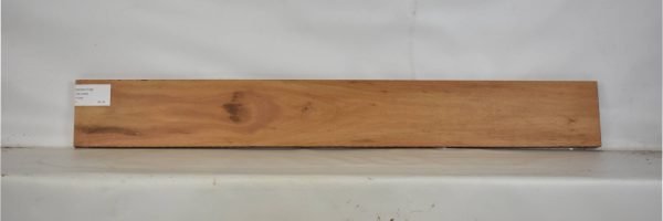 GONC1138_2