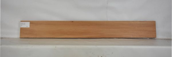 GONC1140_2