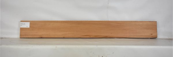 GONC1142_2