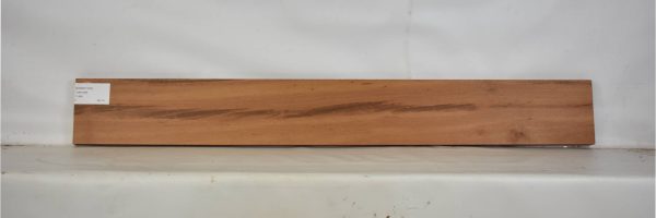 GONC1143_2
