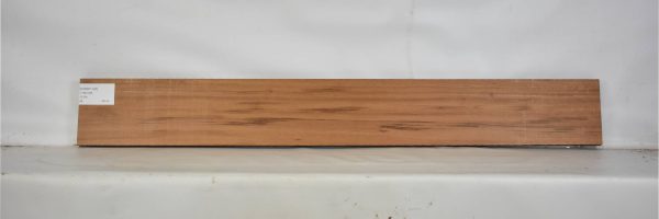 GONC1146_1