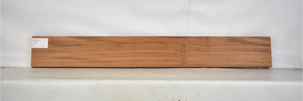 GONC1147_1