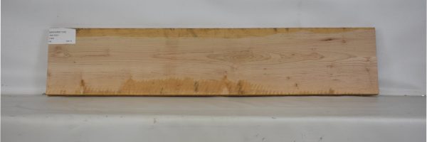 MAPAMB1109_2