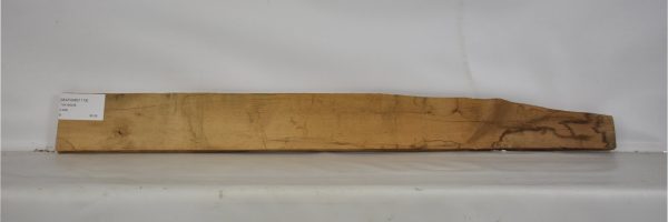 MAPAMB1118_2
