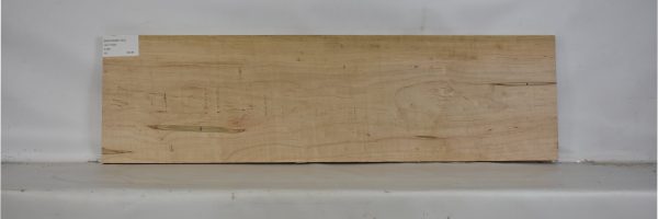 MAPAMB1125_2
