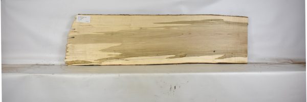 MAPAMB1133_2