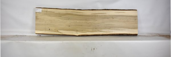 MAPAMB1134_1