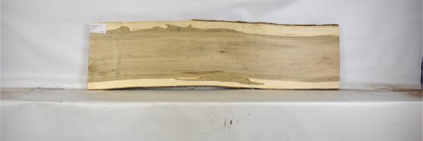 MAPAMB1134_2