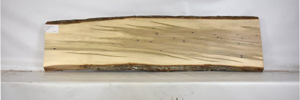 MAPAMB1137_2