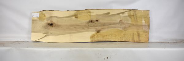 MAPAMB1138_2