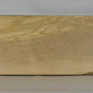 MAPBEH1605_1