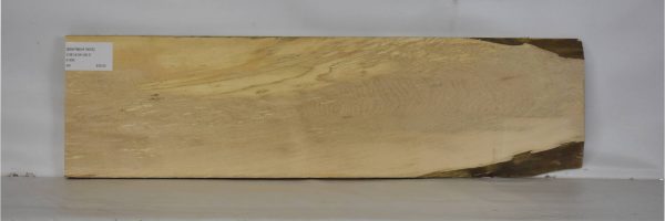 MAPBEH1605_1