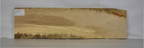 MAPBEH1605_2