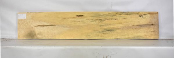 MAPBEH1609_1