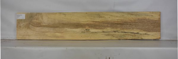 MAPBEH1609_2