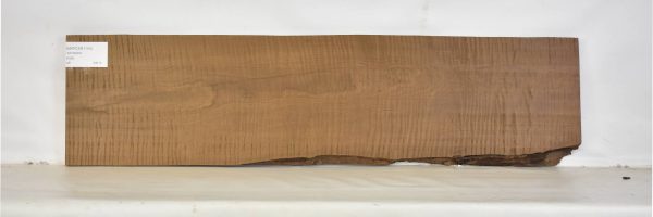 MAPCSR1194_2