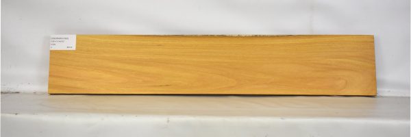 OSORARG1093_2