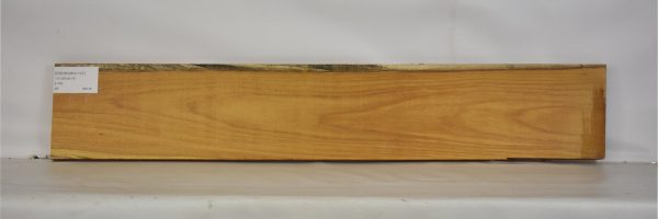 OSORARG1107_2