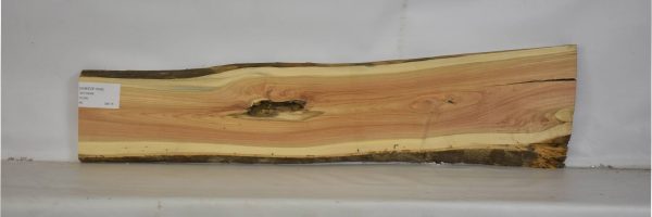 SNEEZE1043_2