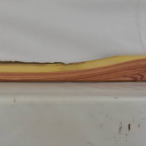 TULP1539_1