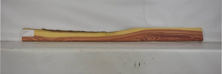 TULP1539_1