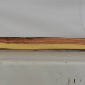 TULP1545_1