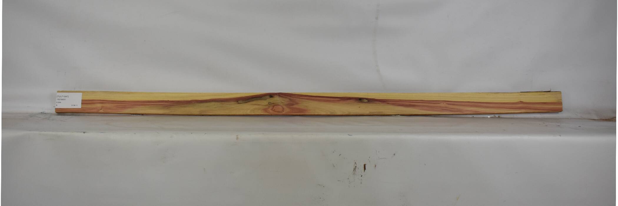 Tulipwood 2 TULP1547_2