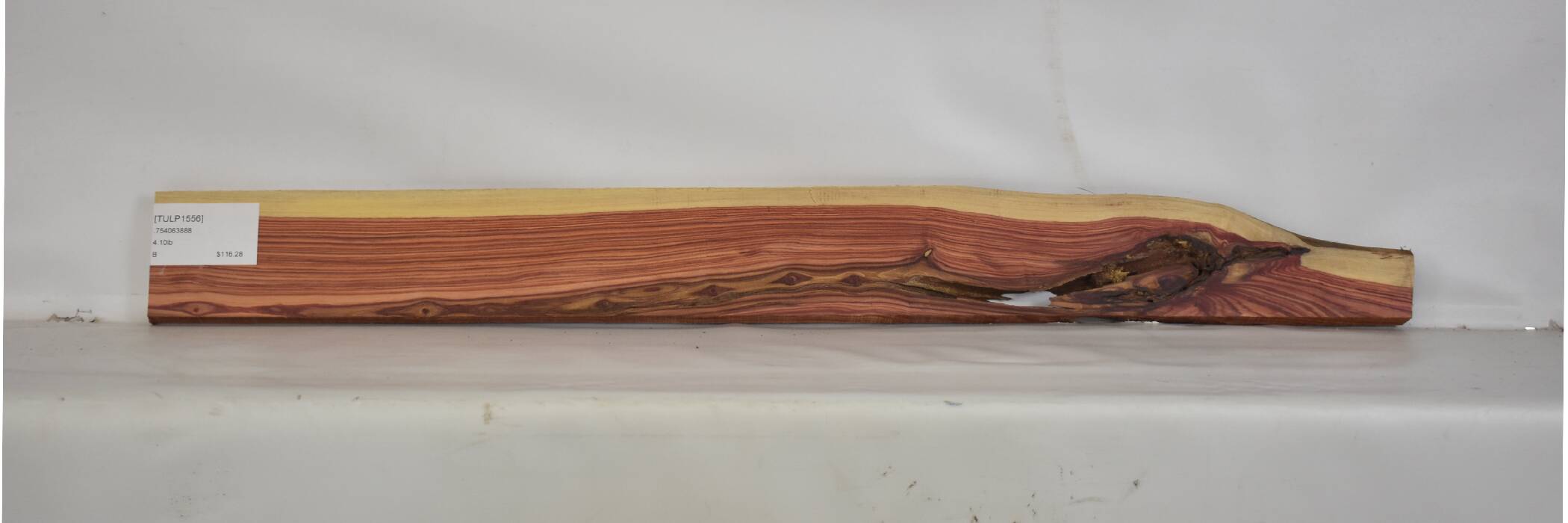 Tulipwood 2 TULP1556_2