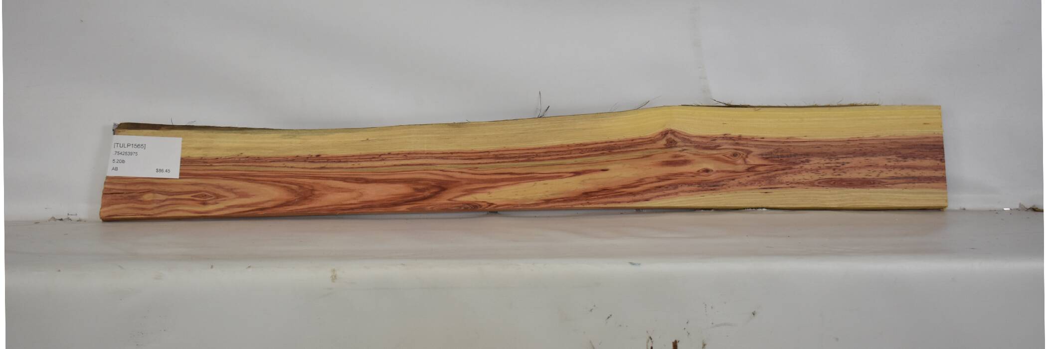 Tulipwood 2 TULP1565_2