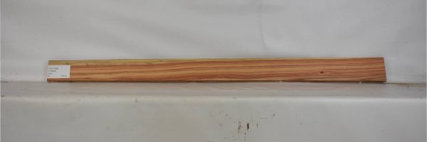 TULP1588_1