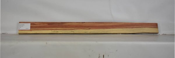 TULP1600_2