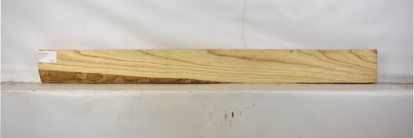 ASHSW1047_1