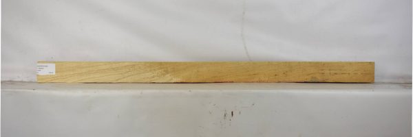 ASHSW1049_1