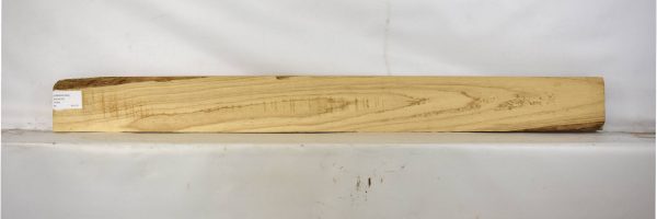 ASHSW1052_1