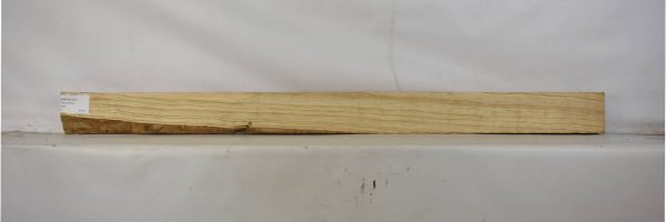 ASHSW1057_2
