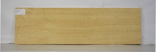AVO1163_1