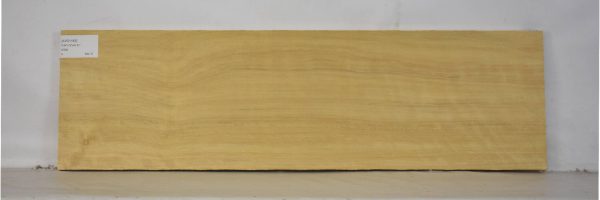 AVO1163_2