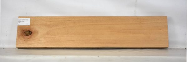 CEDARSPAN1159_2