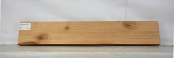 CEDARSPAN1166_2