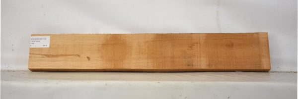 CEDARSPAN1170_1
