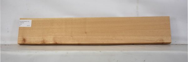 CEDARSPAN1175_1