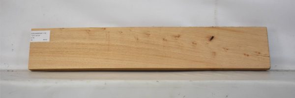 CEDARSPAN1176_2
