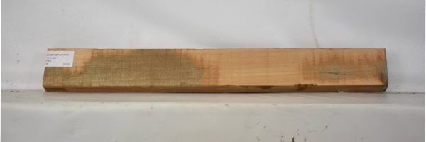 CEDARSPAN1177_2