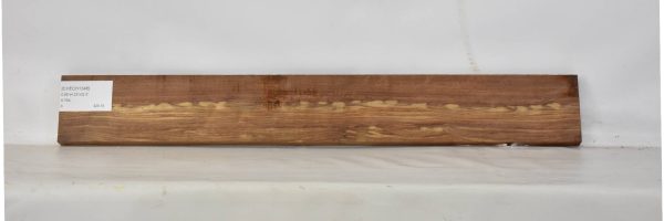 CHECH1348_1