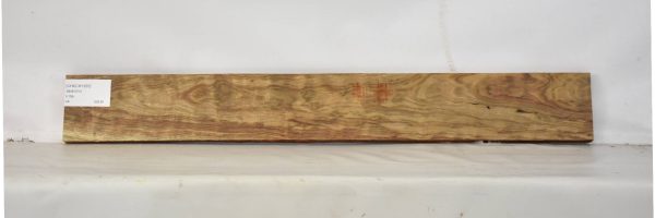 CHECH1355_1