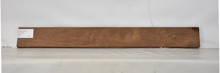 CHECH1361_1