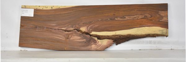 COCO1355_2