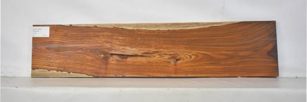 COCO1360_1