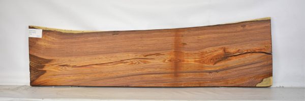 COCO1361_2